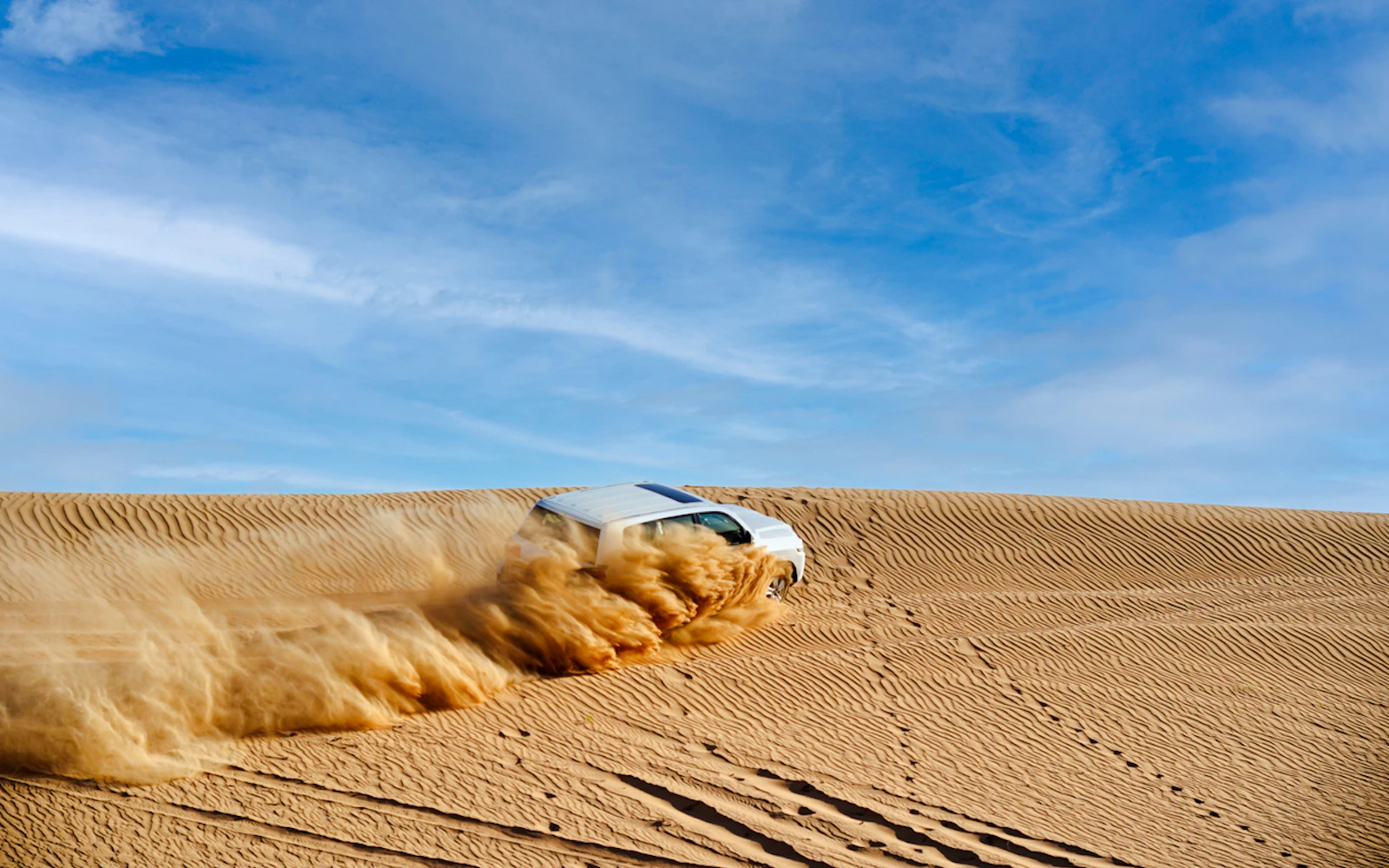 Dubai Red Dunes: Dune Bashing, Sandboarding, Camel Ride & Sunset View