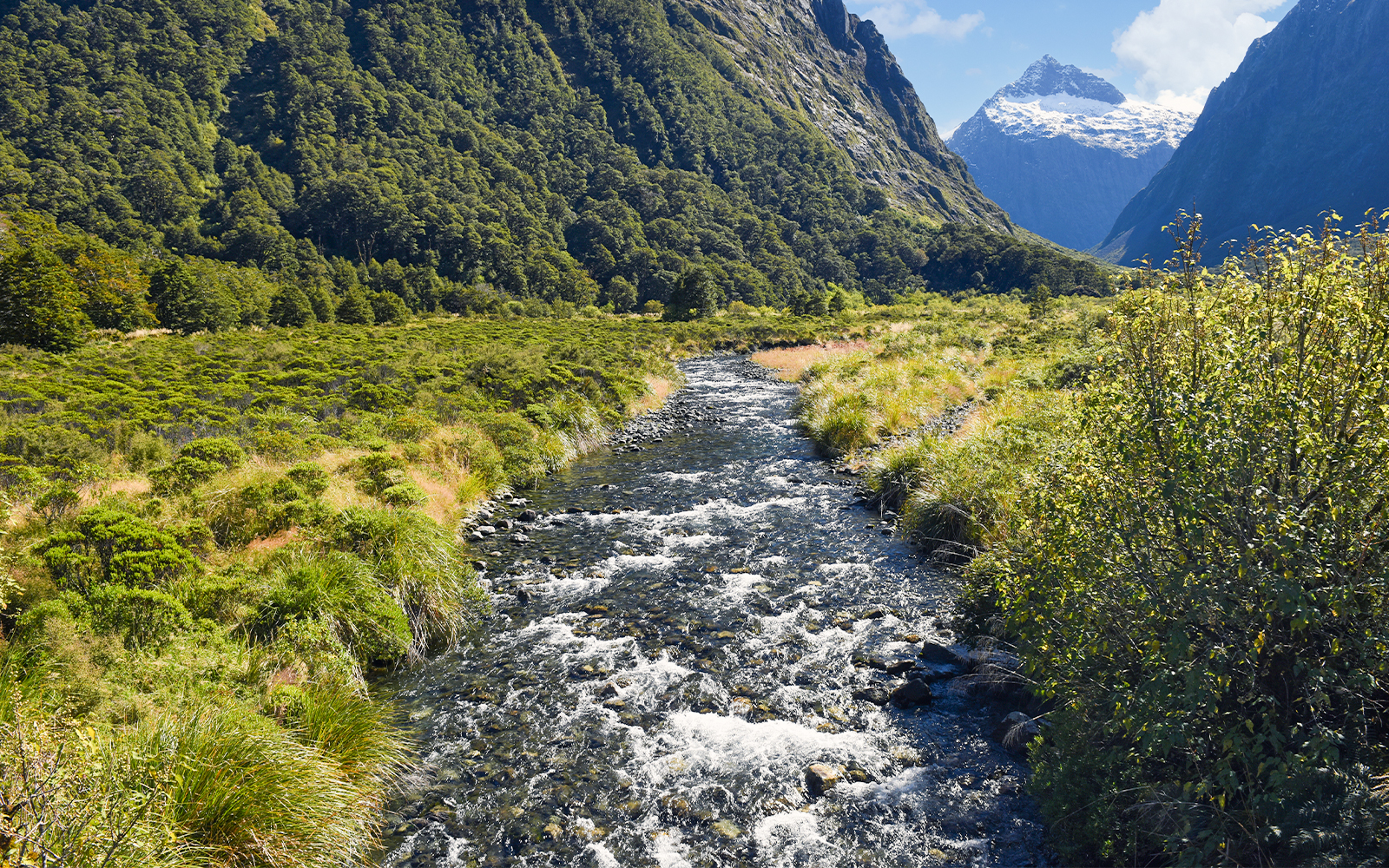 Monkey Creek view with snow-capped mountains in Milford Sound, New Zealand.