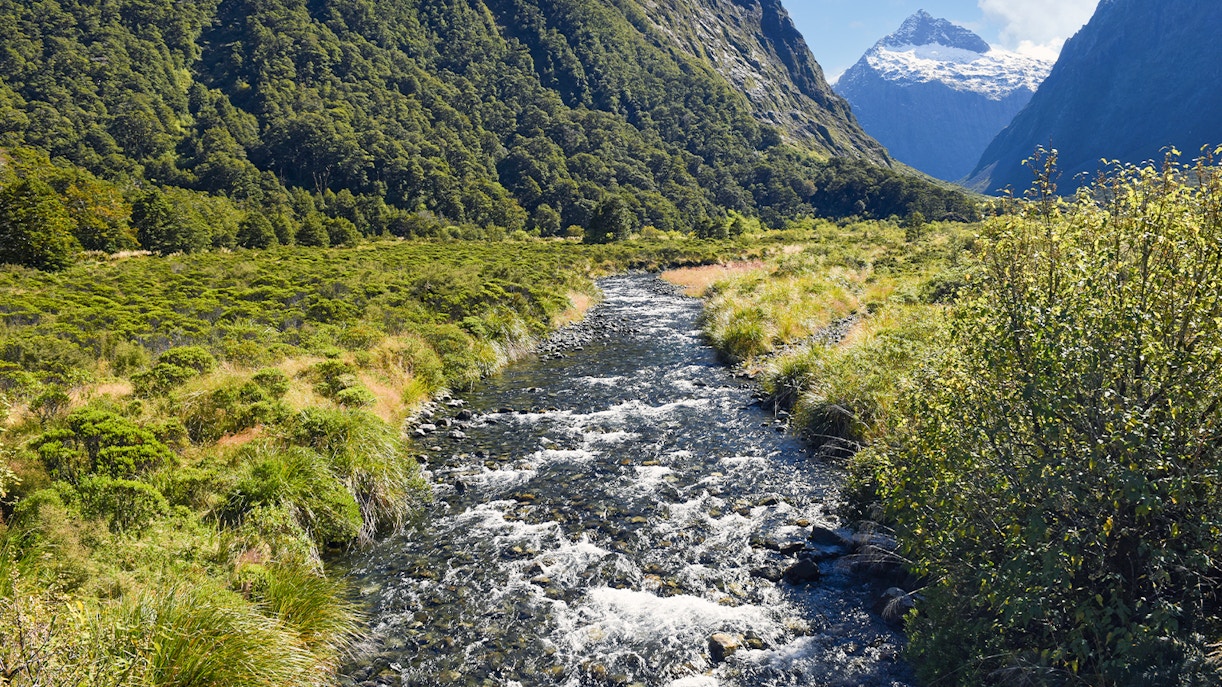 Monkey Creek view with snow-capped mountains in Milford Sound, New Zealand.