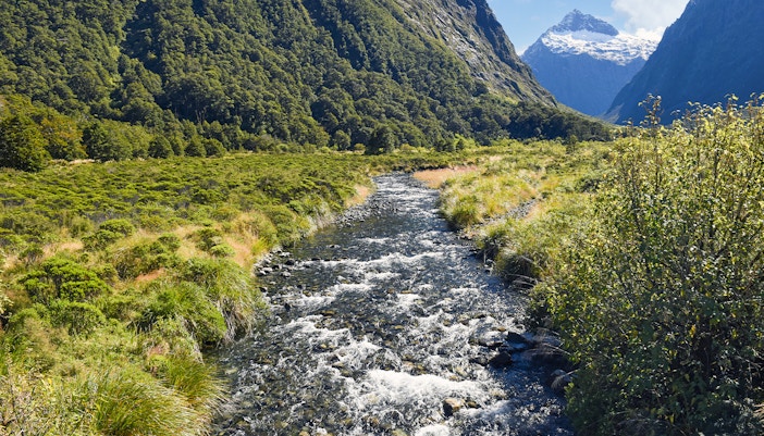 Monkey Creek view with snow-capped mountains in Milford Sound, New Zealand.
