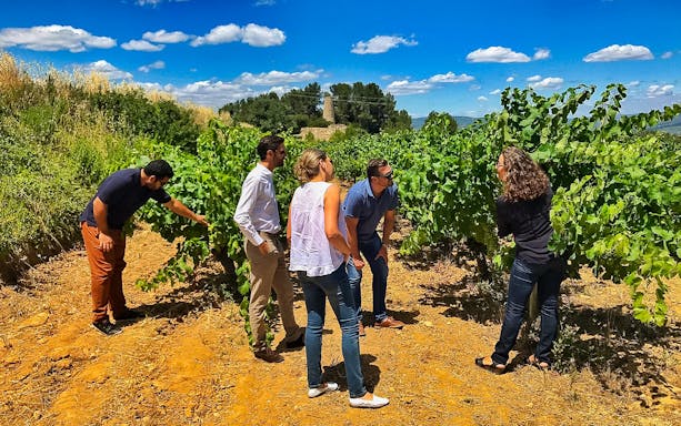 Group exploring vineyard on Barcelona wine tour.