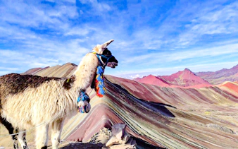 from cusco: rainbow mountain and red valley guided hike-4