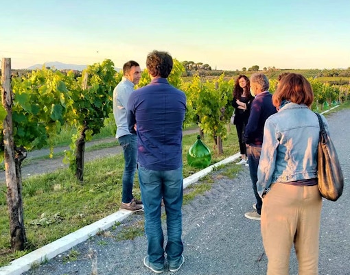 Group on a guided wine tasting tour in a Frascati vineyard.