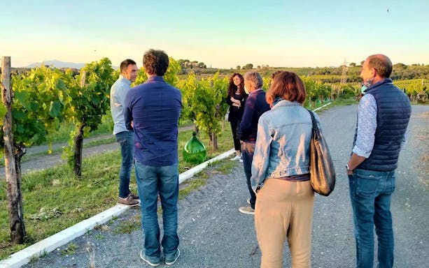 Group on a guided wine tasting tour in a Frascati vineyard.