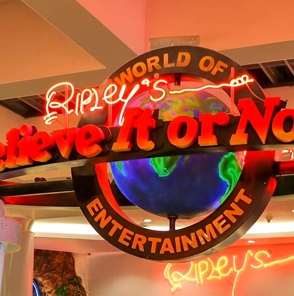 The complete guide to Ripley’s Believe It or Not! NYC