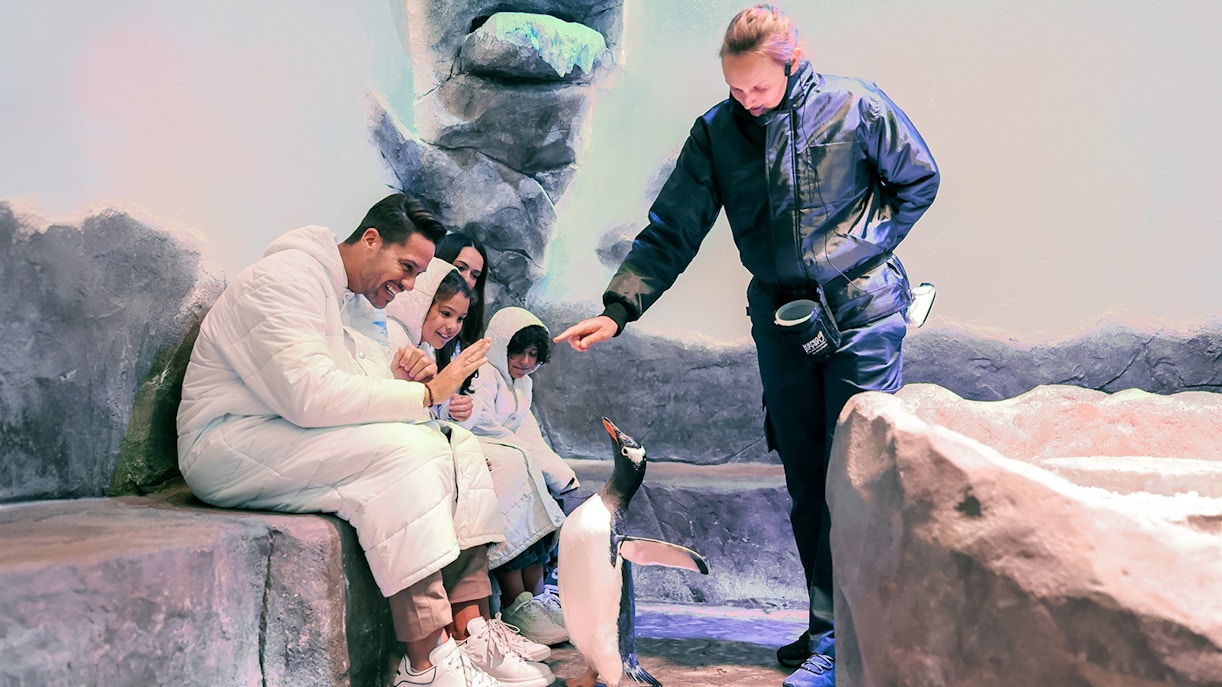 Tours en Bus City Sightseeing Dubaï