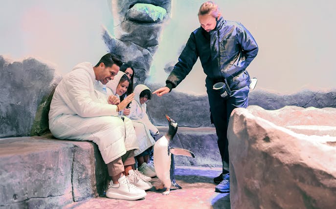Family interacting with Gentoo penguin at Dubai Aquarium & Underwater Zoo.
