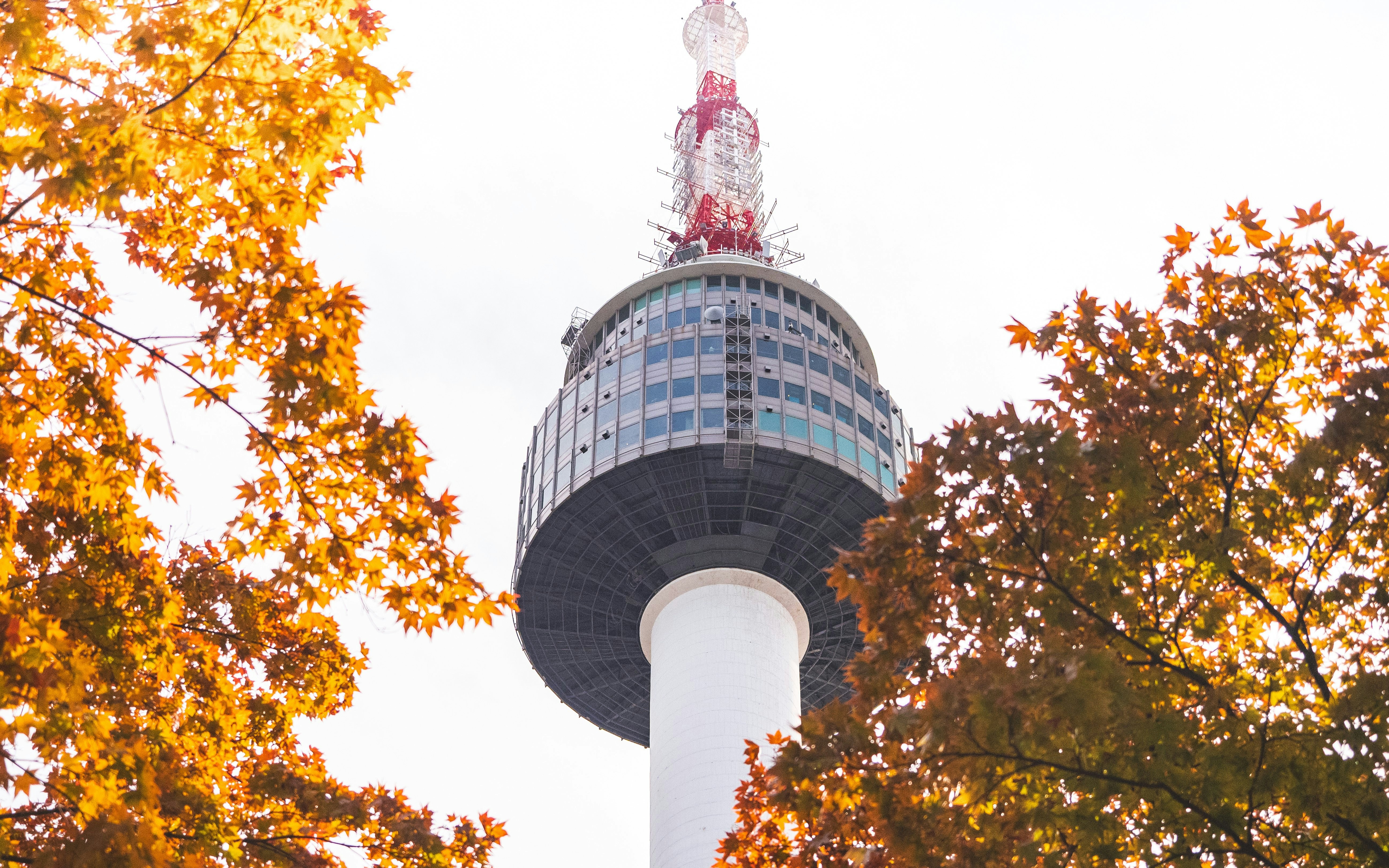 N Seoul Tower surrounded by autumn leaves, Seoul, South Korea.