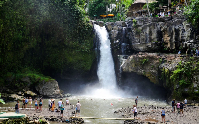 Ubud Highlights Private Tour with Entry Fees Included: Monkey Forest, Tirta Empul, Waterfall & Rice Terrace