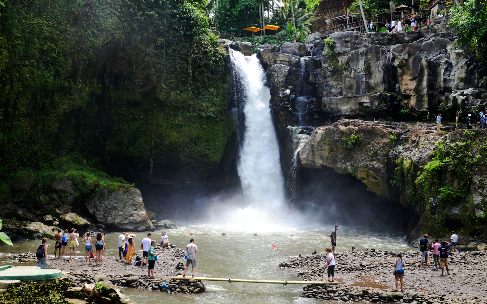 Ubud Highlights Private Tour with Entry Fees Included: Monkey Forest, Tirta Empul, Waterfall & Rice Terrace Image 2