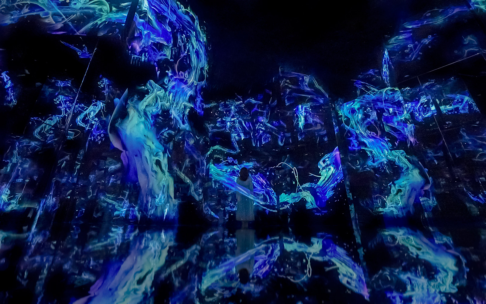teamLab Abu Dhabi installation art with vibrant digital projections and interactive displays