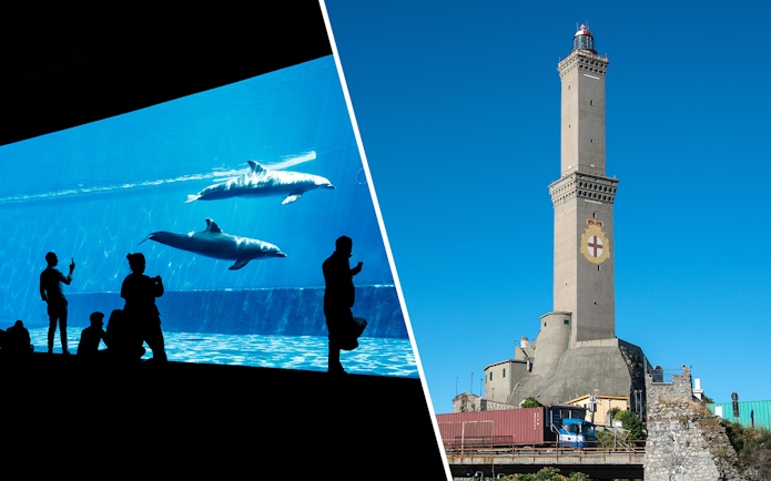 Genoa Aquarium dolphins and Genoa Lighthouse.