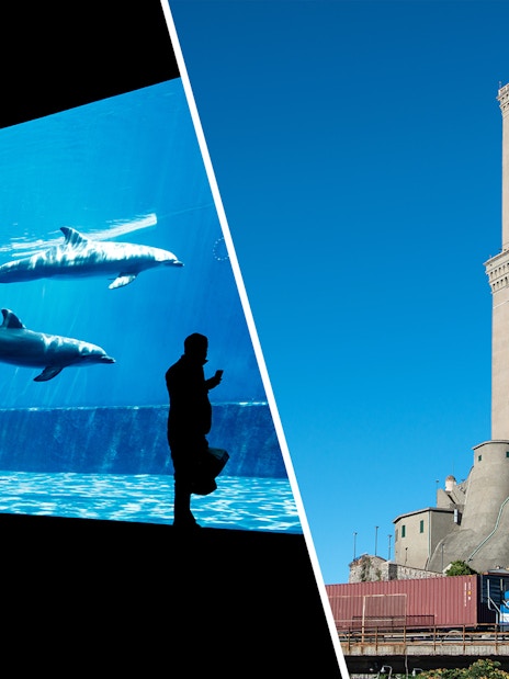 Genoa Aquarium dolphins and Genoa Lighthouse.