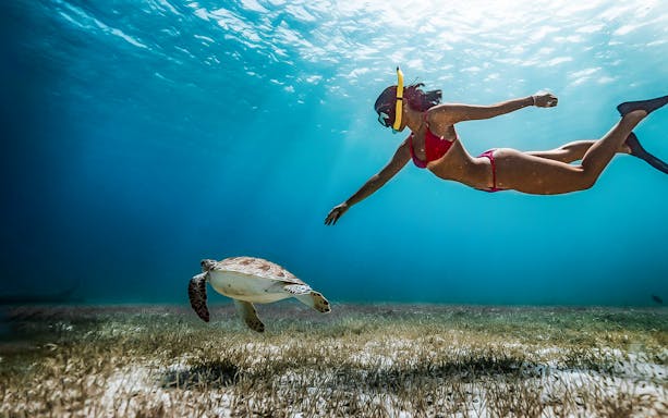 Snorkeler swimming with a sea turtle in Fujairah during a guided tour.