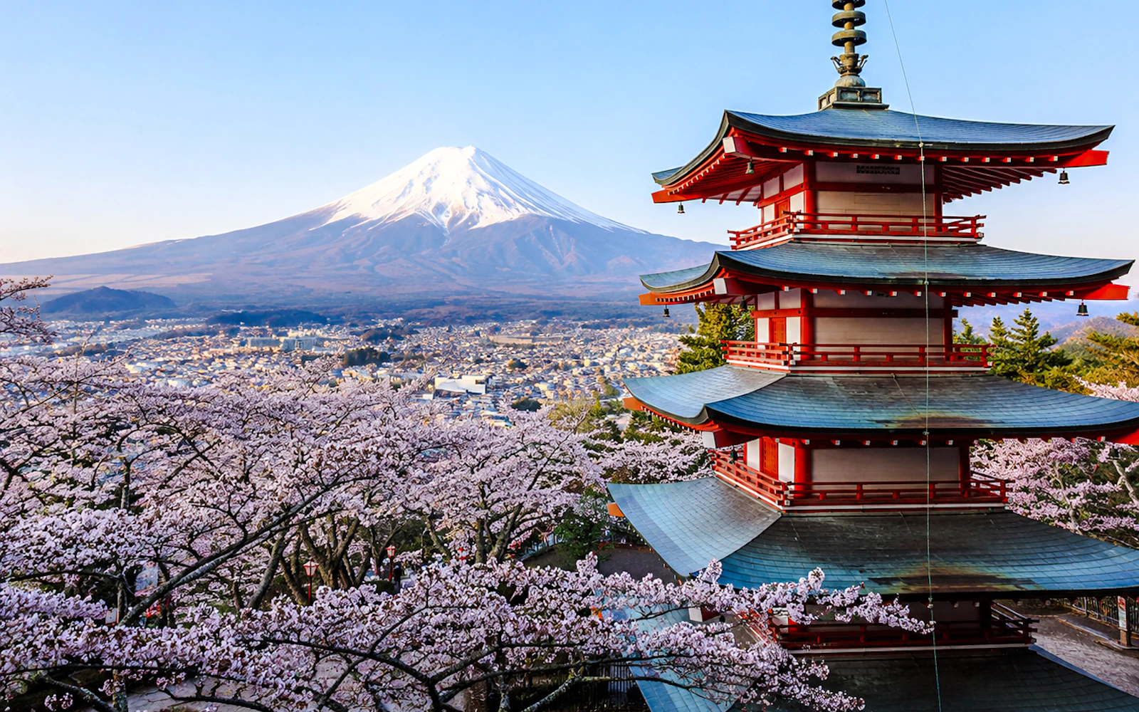From Tokyo: Private Mt Fuji and Fuji Five Lakes Day Trip with Guide