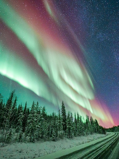 Northern lights over a snowy forest and road in a starry night sky.