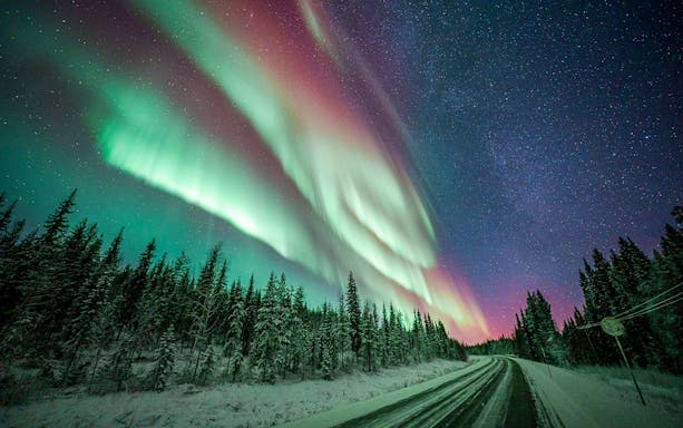 Northern lights over a snowy forest and road in a starry night sky.