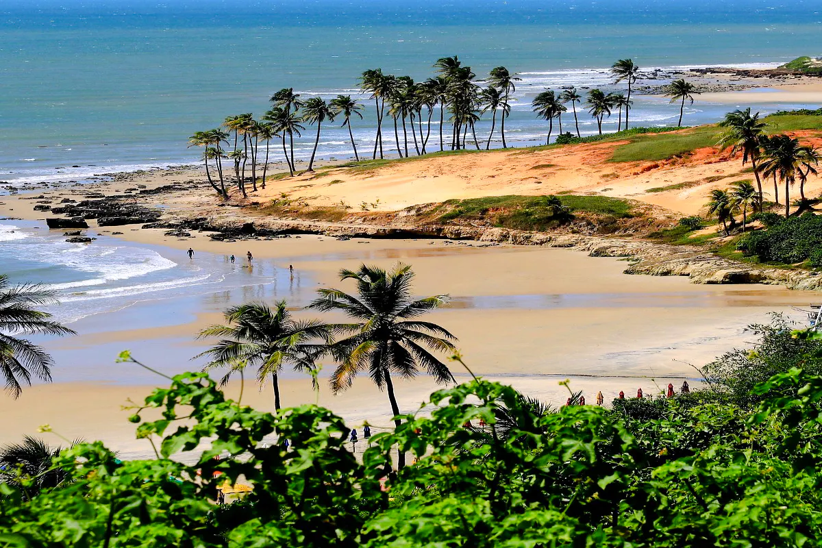 Lagoinha Beach with palm trees, cliffs, and ocean waves in Fortaleza, Brazil.