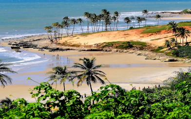 Lagoinha Beach with palm trees, cliffs, and ocean waves in Fortaleza, Brazil.