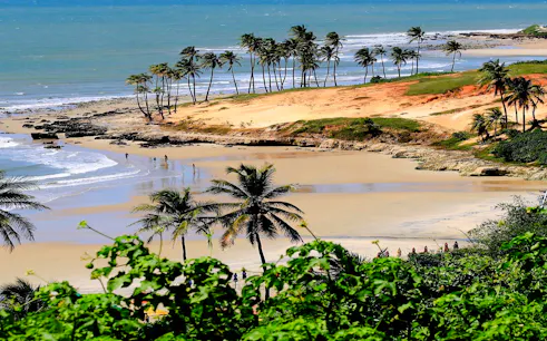 Lagoinha Beach with palm trees, cliffs, and ocean waves in Fortaleza, Brazil.