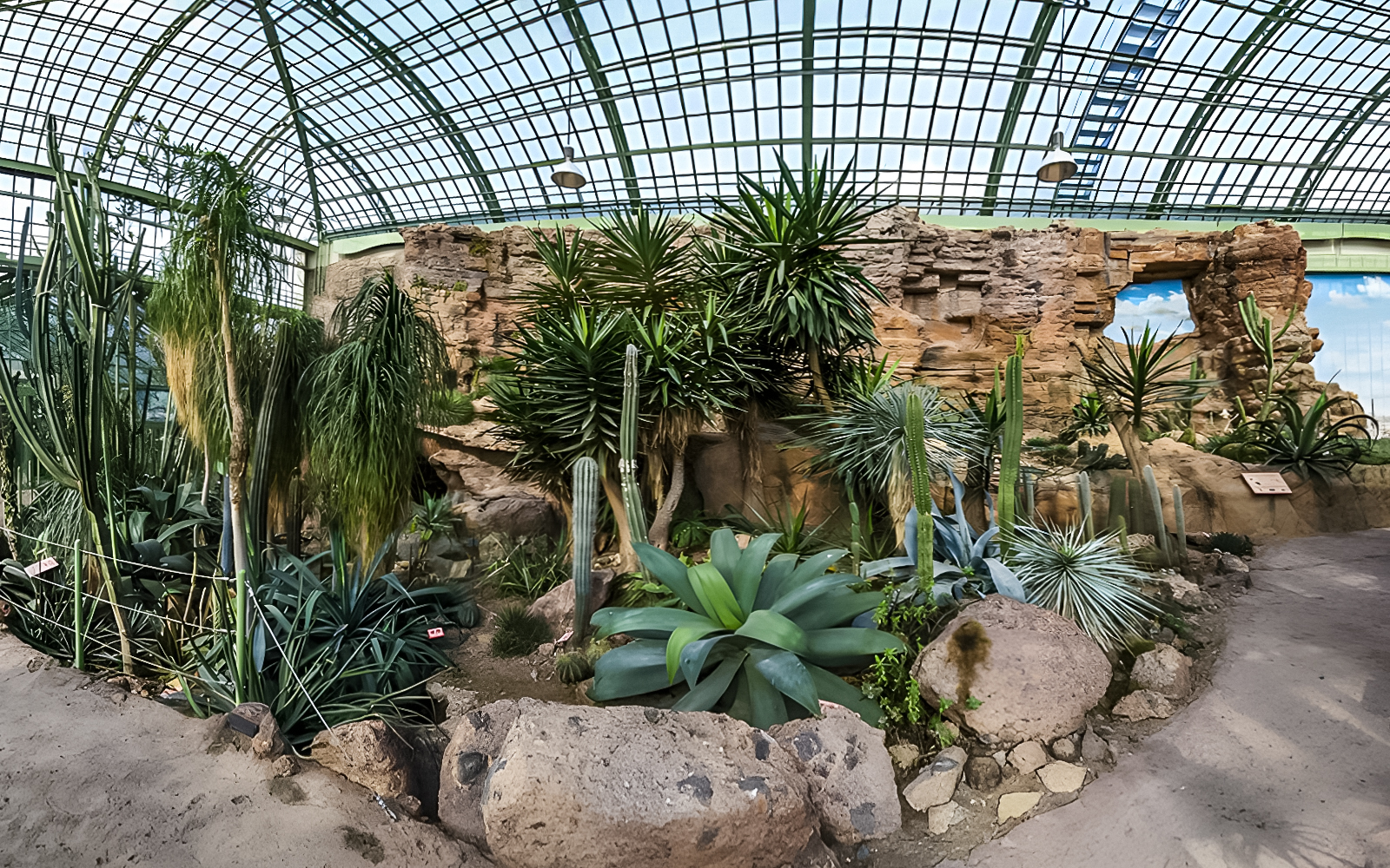 Rainforest plants inside the glass-domed house at Schönbrunn Zoo.