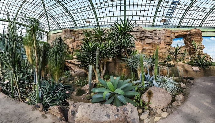 Rainforest plants inside the glass-domed house at Schönbrunn Zoo.