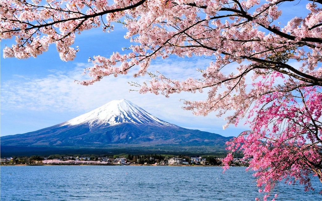 Cherry blossoms framing Mt. Fuji and Lake Kawaguchiko in spring.