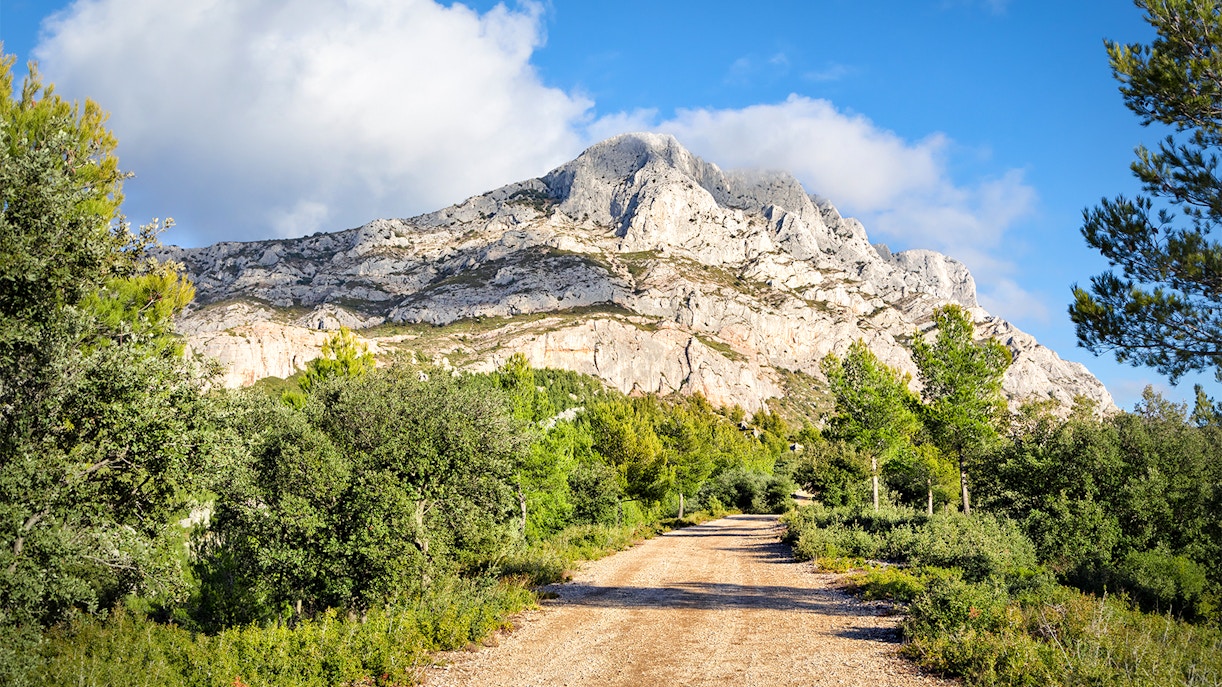 Wine Tours in Provence