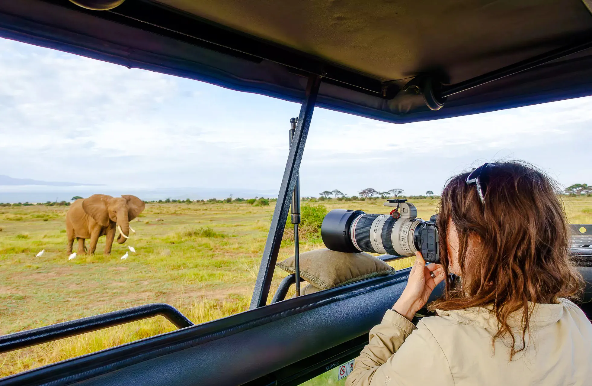 desde nairobi: safari en grupo de 3 días y 2 noches en maasai mara-1