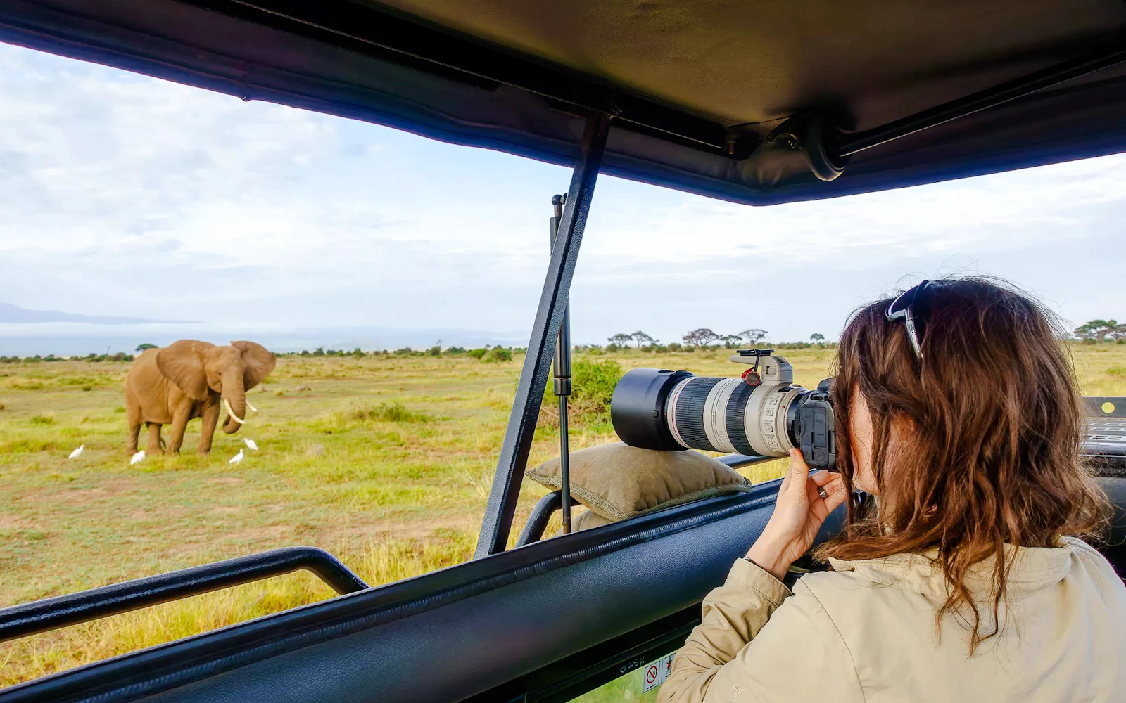 From Nairobi: Maasai Mara 3-Day Group-Joining Safari (Product 54046)