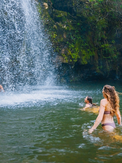 Guests swimming near Kohala Waterfalls in lush green surroundings.