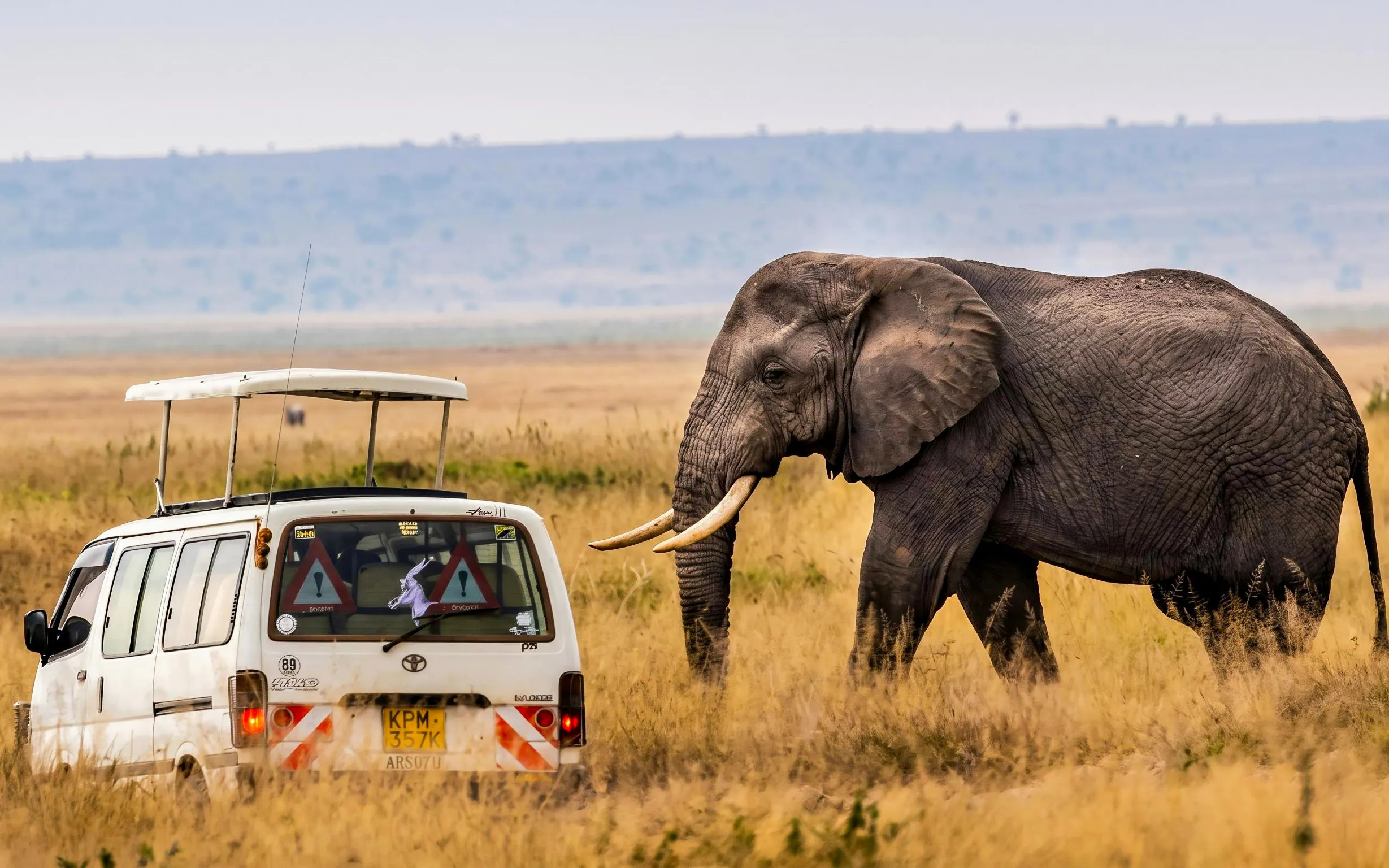 Safari van near elephant in Maasai Mara grassland.