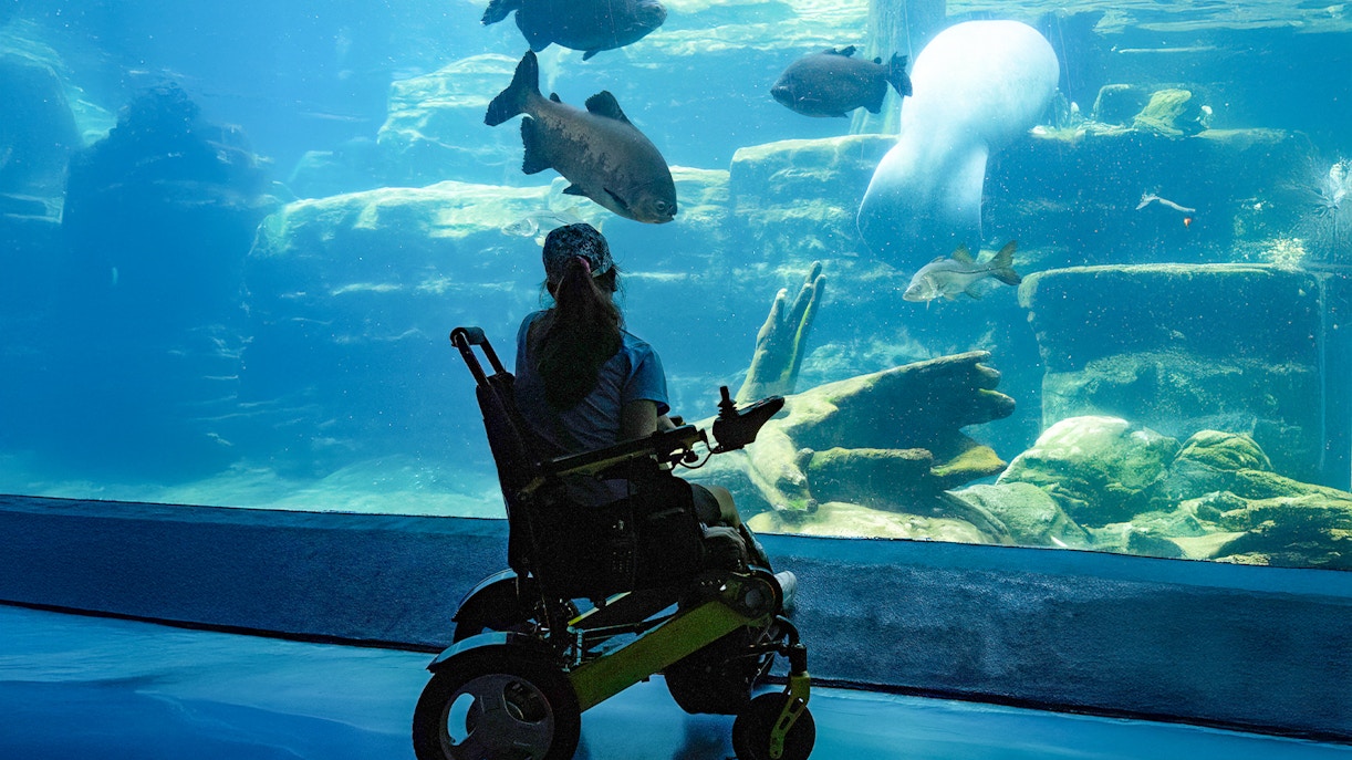 Woman in wheelchair observing fish in an aquarium.