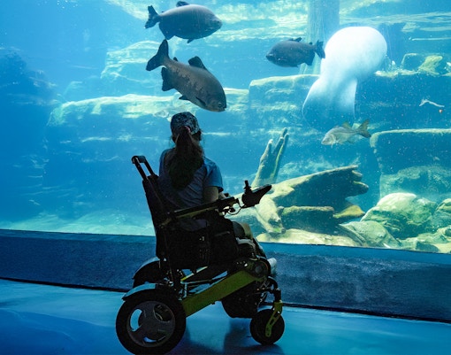 Woman in wheelchair observing fish in an aquarium.
