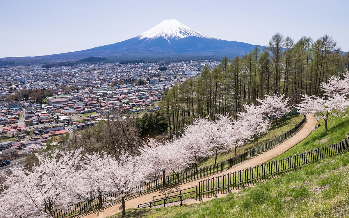 1-day guided tour of mt. fuji, lake kawaguchi, lake yamanaka from tokyo-4 1-day guided tour of mt. fuji, lake kawaguchi, lake yamanaka from tokyo-4