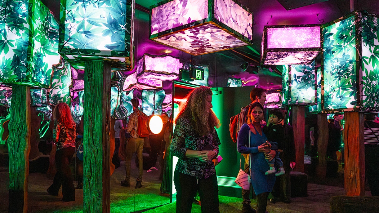 Immersive light installation at Euphoria Grove, Dopamine Land with visitors exploring.