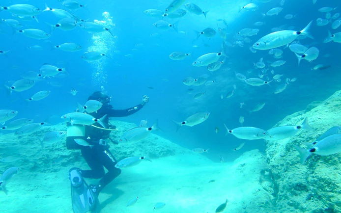 Antalya: Scuba Diving 2 Dives