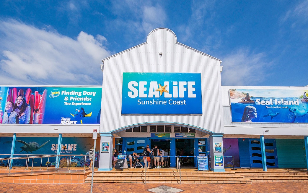 SEA LIFE Sunshine Coast entrance with Finding Dory and Seal Island exhibits.