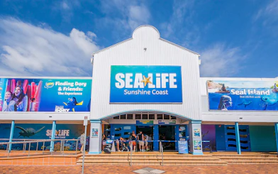 SEA LIFE Sunshine Coast entrance with Finding Dory and Seal Island exhibits.