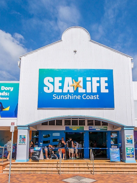 SEA LIFE Sunshine Coast entrance with Finding Dory and Seal Island exhibits.