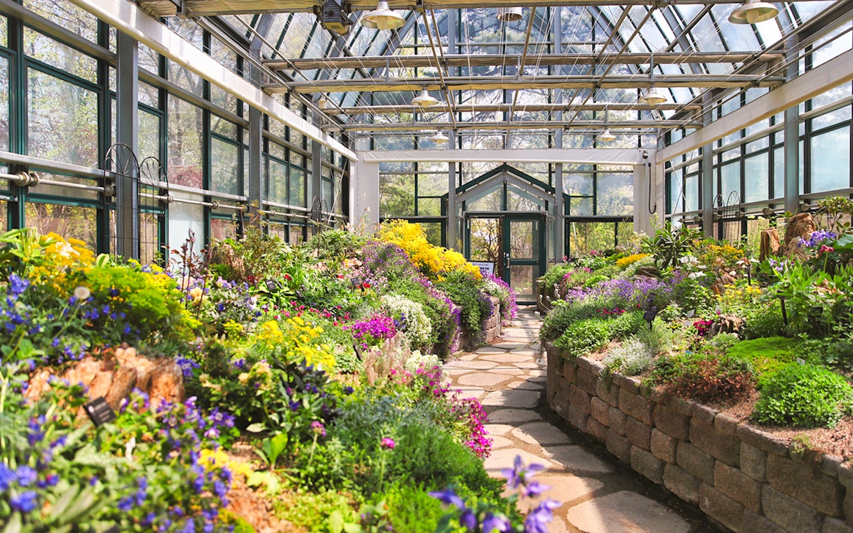 Greenhouse interior path with vibrant flowers and plants, South Korea.