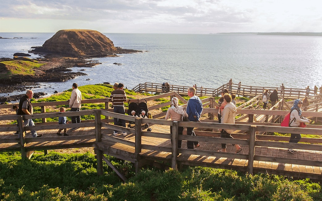 Visitors walking along Nobbies Lookout boardwalk with ocean view, Phillip Island, Australia.
