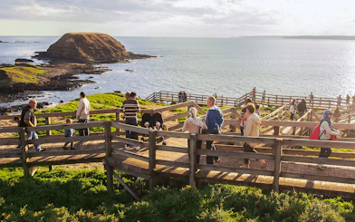 Visitors walking along Nobbies Lookout boardwalk with ocean view, Phillip Island, Australia.