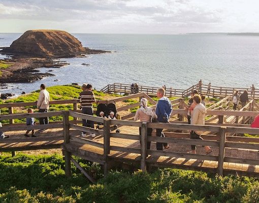 Phillip Island tours