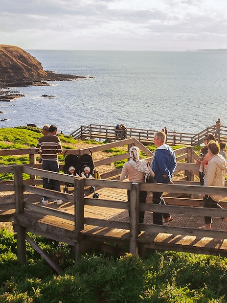Visitors walking along Nobbies Lookout boardwalk with ocean view, Phillip Island, Australia.