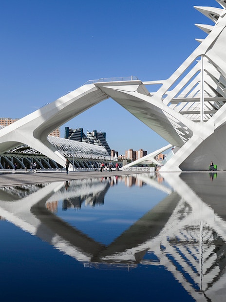 Valencia's City of Arts and Sciences architecture reflected in water.