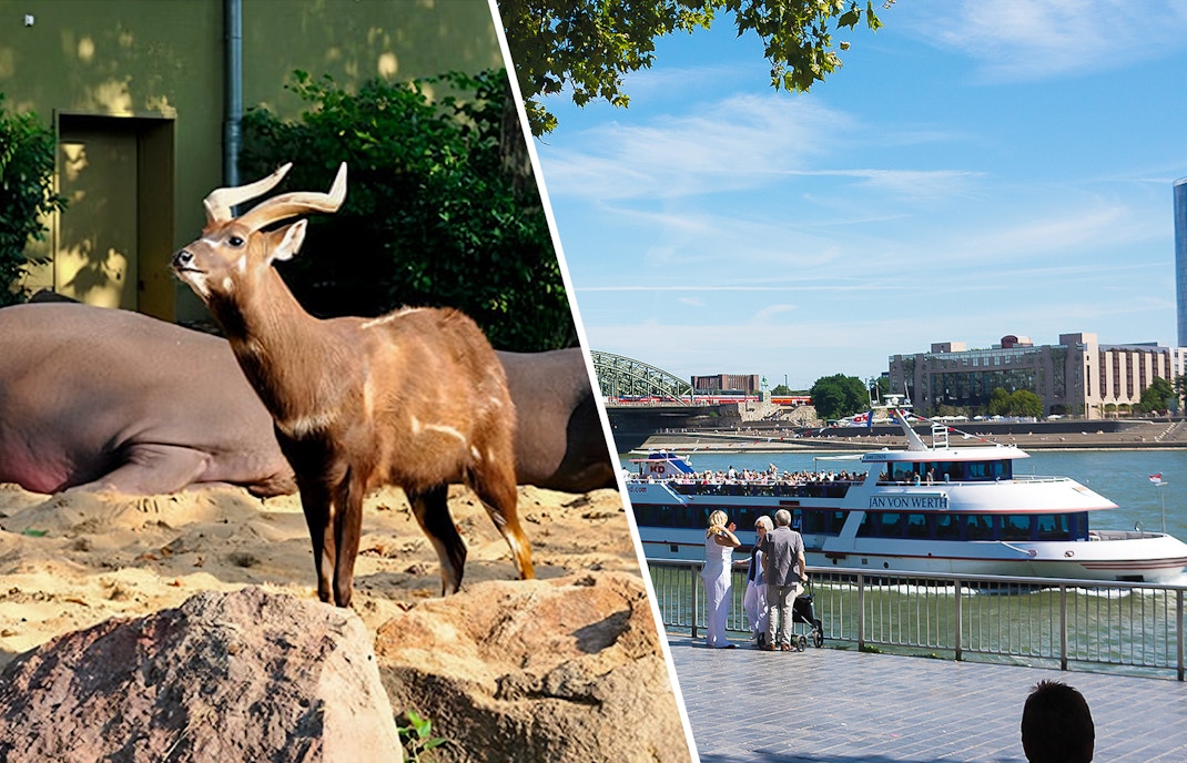 cologne zoo tickets