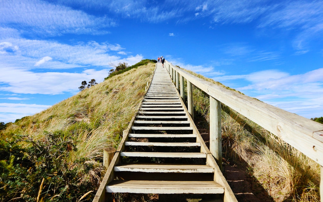 Group ascending wooden stairs on Bruny Island's scenic coastline.