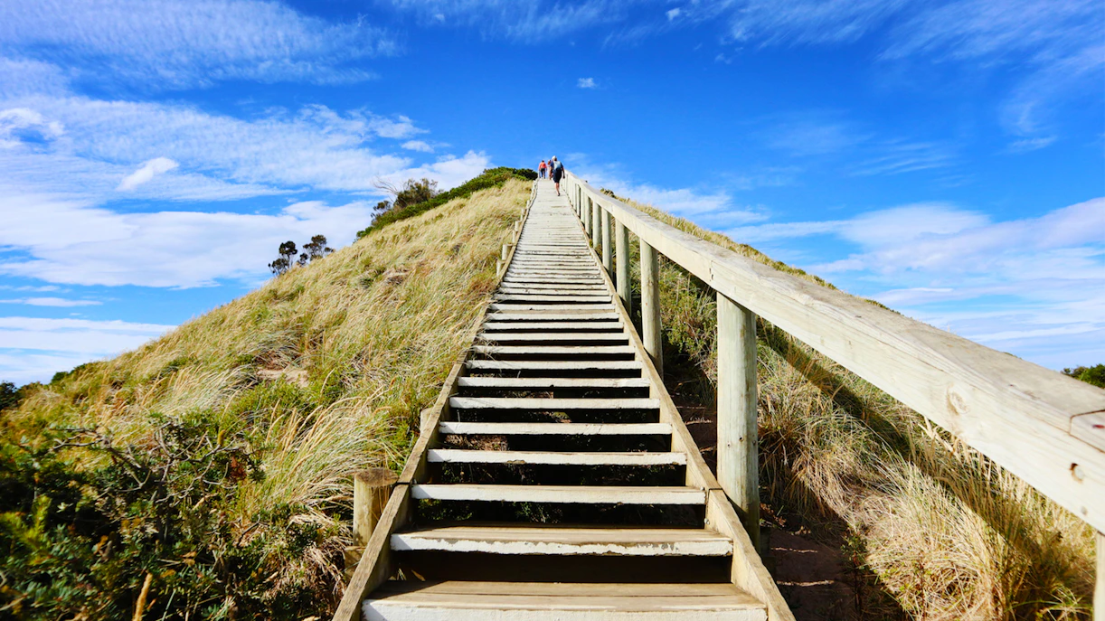 Group ascending wooden stairs on Bruny Island's scenic coastline.