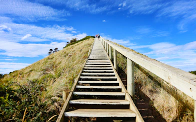 Group ascending wooden stairs on Bruny Island's scenic coastline.